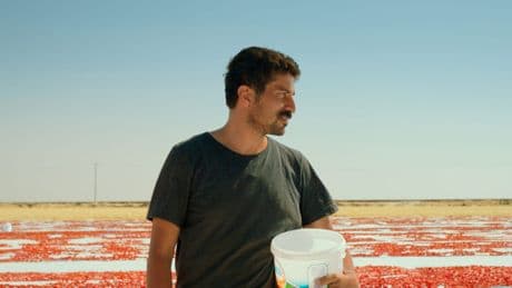Türkiye'nin Oscar adayı filmi açıklandı