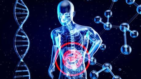 Tumore al fegato in aumento negli under 50, uno studio spiega le cause. Focus sulla prevenzione