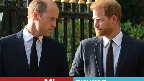 Prince William has 'no incentive' to speak to brother Harry after his BBC outburst