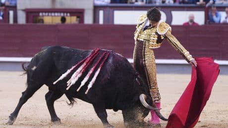 Sebastián Castella y Alcurrucén comparten taxi al viaducto desde Las Ventas