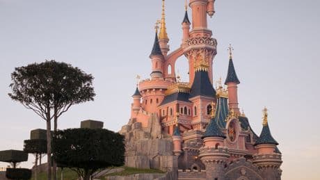British Man Is Charged Over Attempted Mock Wedding With Girl, 9, at Disneyland Paris