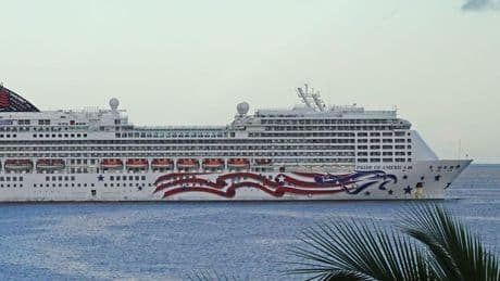 Hawaii Cruise Ships Leave Passengers Behind Amid Tsunami Warnings