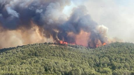 EN DIRECT. Incendie dans l’Aude : une personne décédée et neuf blessés, le feu reste très actif