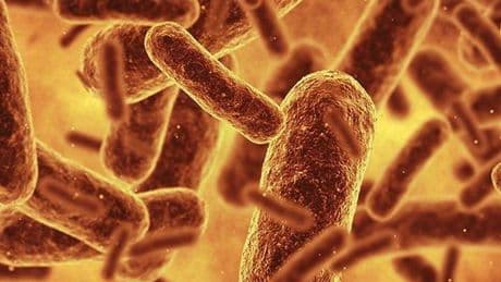 Genetik kodu virüsler tarafından okunamıyor: Bilim insanları bugüne kadarki en sentetik canlıyı oluşturdu!