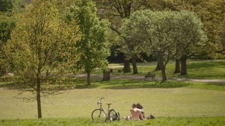 Music festivals in park ‘have to be cancelled’ after court decision, lawyers say