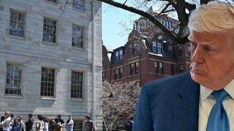 Trump yönetiminden Harvard kararı! Uluslararası öğrenci kabulünü durdurdu