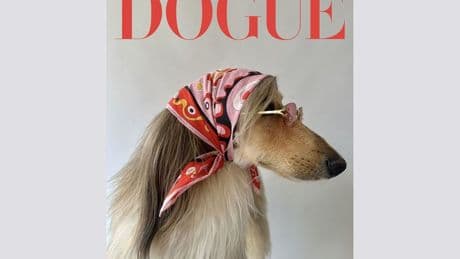 Hunde-Ausgabe der „Vogue“: Ein Wuff für so viel Grandezza