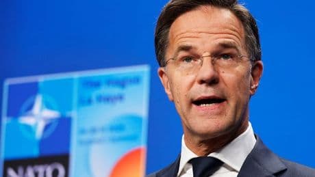 NATO chief Mark Rutte squirms under criticism after calling Donald Trump 'Daddy'