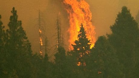 Book Review: ‘When It All Burns,’ by Jordan Thomas