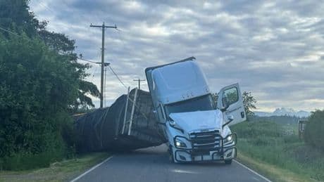 "Évitez la zone": 250 millions d'abeilles s'échappent d'un camion à Washington après un accident de la route