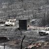 One dead and thousands evacuated as wildfire spreads in France