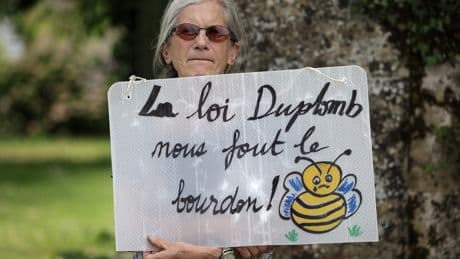 «La loi Duplomb ne passe pas»: scientifiques et associations de patients interpellent le Conseil constitutionnel