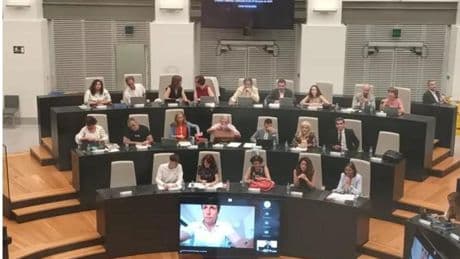 Almeida 'pausa' su baja de paternidad: se conecta al pleno de Cibeles desde su casa