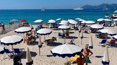 Travel agents hit out at claim by Booking.com boss that ‘AI can find the best holiday for you’
