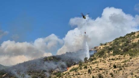 Şarköy'de makilik alanda çıkan yangına müdahale ediliyor