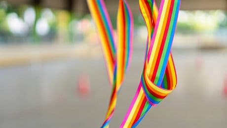 Il fiocco arcobaleno? Stupido e ideologico