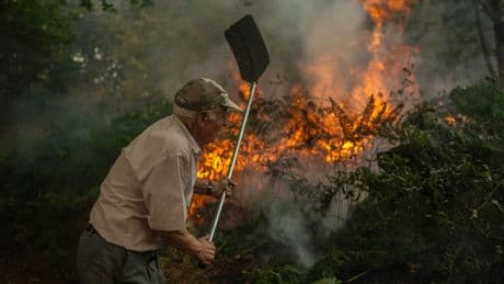 Veinticinco personas han sido detenidas por provocar incendios este verano