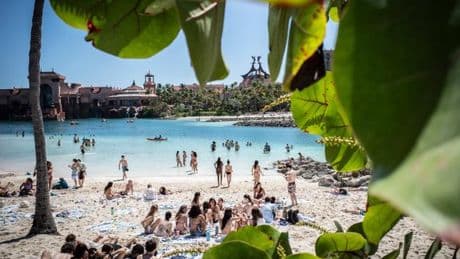 Soleil, débauche et réseautage : les lycéens d’élite ont rendez-vous à Paradise Island