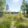 Wetenschappers van Europese Commissie waarschuwen voor droogte de komende maanden