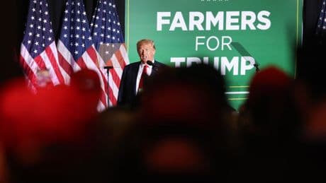 After Trump Administration Flip-Flop, ICE Raids Spell Uncertainty For Farmers