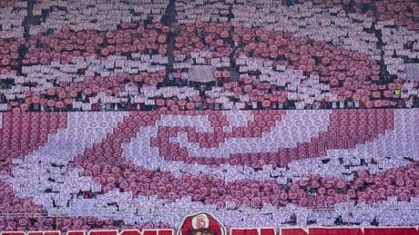 Verein berücksichtigt Fan-Wünsche: Wie der Dauerkartenverkauf bei Fortuna für die Saison 2025/26 abläuft