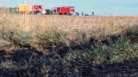 Incendies en France : « Les feux agricoles, jusqu’alors assez négligés, commencent à intéresser les pouvoirs publics »