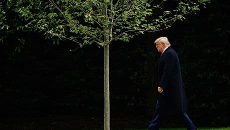 Harvard vuelve a denunciar a Trump tras prohibirle matricular a estudiantes extranjeros
