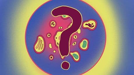Biomedizin: Das Geheimnis der Gesundheit