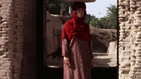 ‘The Sealed Soil’: Modesty and Its Discontents