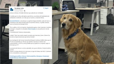 Nombran a un golden retriever como Director de Felicidad en una empresa india