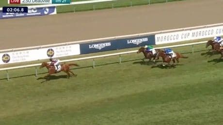 First Arc for Japan? Exciting Alohi Alii sets up big race bid at Deauville