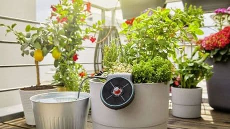 Keep house plants and greenhouses automatically irrigated with solar-powered set