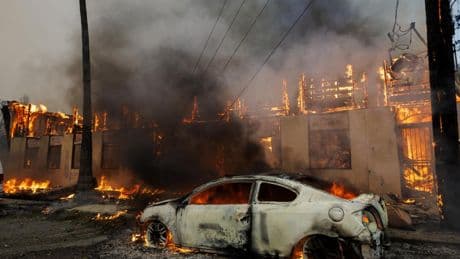 Newsom demands FAIR Plan process Los Angeles wildfire smoke damage claims 'expeditiously and fairly'