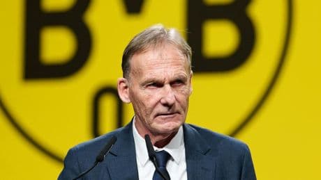 Fußball-Bundesligist: Warum der BVB juristisch gegen die AfD vorgeht