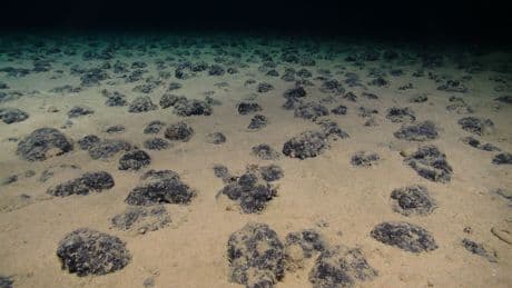 The World Isn’t Valuing Oceans Properly