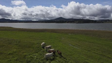 Mexico says U.S. suspension of beef imports because of screwworm is unfair