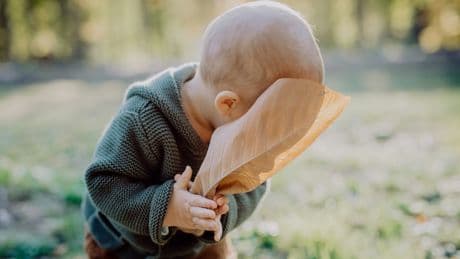 Mauvaise nouvelle: si vous trouvez votre bébé un peu débile, ce n'est pas près de s'arranger