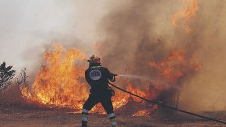 Umweltpolitik - Ursache für Waldbrände ist der Mensch, nicht das Klima