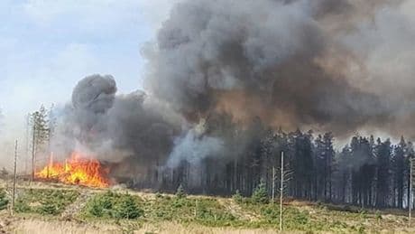 Firefighters still battling North York Moors blaze with houses 30 miles away affected
