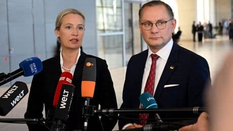 Verfassungsschutz legt Hochstufung auf Eis - Was bedeutet das für die AfD?