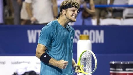 Davidovich también acaba con Shelton y luchará por su primer título en Washington ante De Miñaur