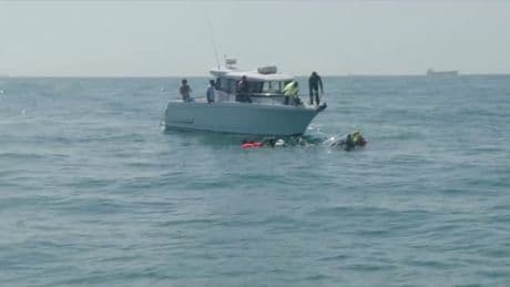 Franky Zapata, contraint de stopper sa traversée de la Manche en Air Scooter, est tombé à l'eau