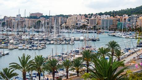 Mallorca wird jetzt Luxus - Deutsche Urlauber zahlen mehr als 200 € – pro Tag