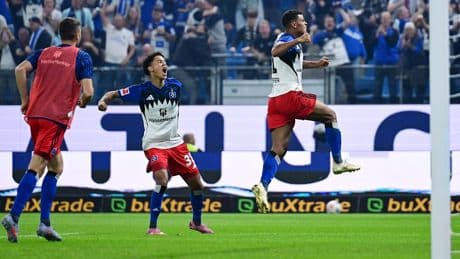 Nur so kann der Klassenerhalt klappen - Der HSV braucht eine neue Strafraum-Idee