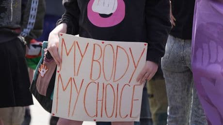 'Tampering with the law could make things worse': abortion decriminalisation risks