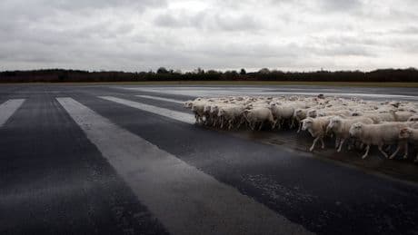 Dat er een ‘veilig midden’ zou zijn in de politiek, is een illusie