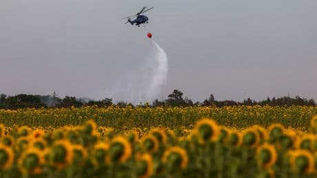 Feux de forêt : vigilance rouge ce lundi dans trois départements du sud de la France