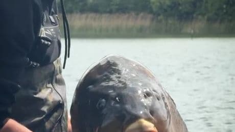 Ex-England striker breaks FISHING record with huge carp that hadn’t been caught for over a year