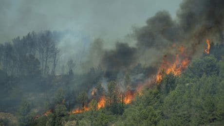 Pourquoi l’incendie dans l’Aude se propage-t-il aussi vite ?