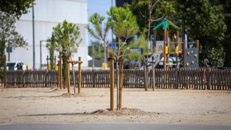 Viladecans planea que cada vecino vea al menos tres árboles desde la puerta de su casa